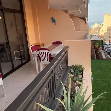 Apartment Sunset In Arena